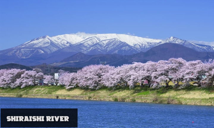 5SHIRAISHI-RIVER